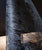 Lace Ribbon Collections