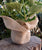 Fringed Burlap Sheets (12 Pack)