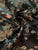 Chinese Dragon Brocade Fabric