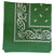 Green Paisley Bandana - 22