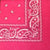 Hot Pink Paisley - 22