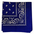 Navy Paisley Bandana - 22" x 22" (100% cotton)