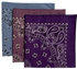 Purple, Chambray, & Plum USA Made Paisley Bandanas (3 Pk) 22"